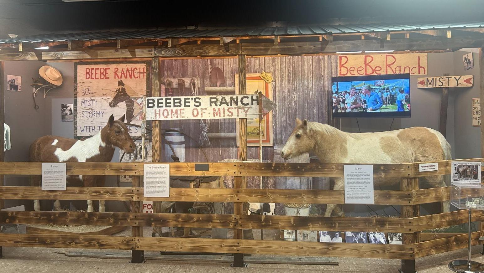 Photo of the Beebe Ranch Home of Misty exhibit at the Museum of Chincoteague Island