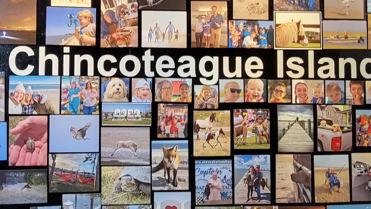 Chincoteague Island Today wall at the Museum of Chincoteague island